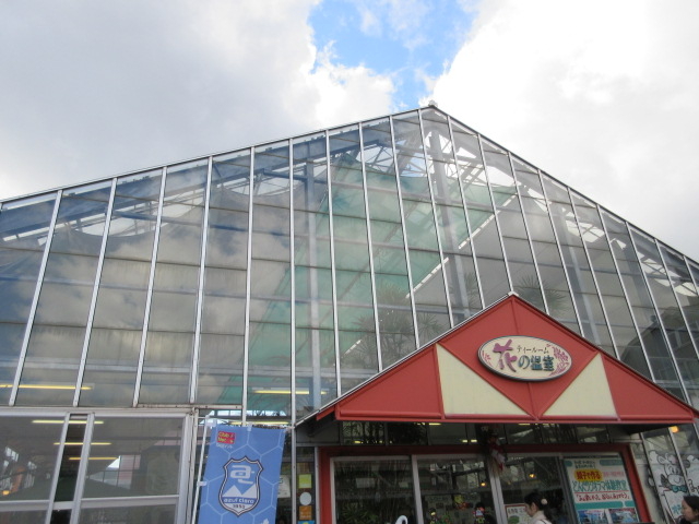 Ⴝ낤̃eB[[ Ԃ̉̓eʐ^1