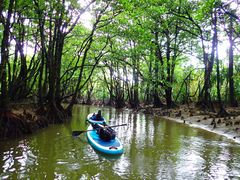 ZCSE̐Ί_ ADVENTURE PiPiւ̓eʐ^1