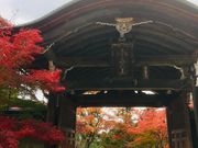 poporon̓񑸉@̓eʐ^3