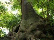 i̎񗢋钬̑AJM̓eʐ^1