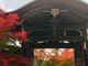 poporonさんの二尊院（京都府京都市）の投稿写真3