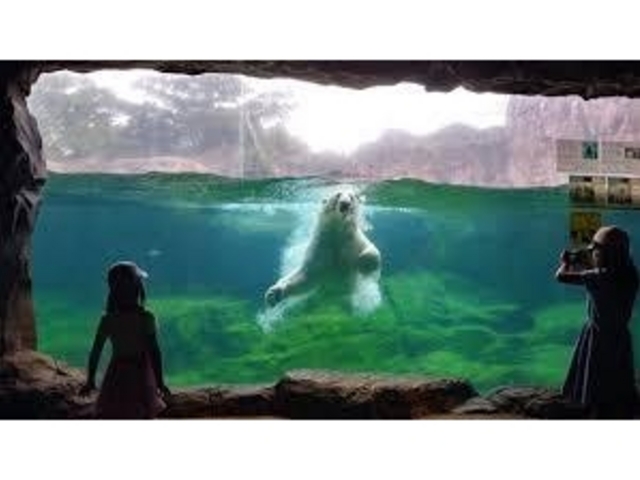 ������_���R������