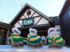 jR񂳂̍]mwւ̓eʐ^1