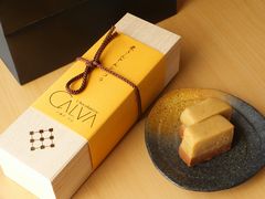 jR񂳂̃VRg[@J@ւ̓eʐ^1