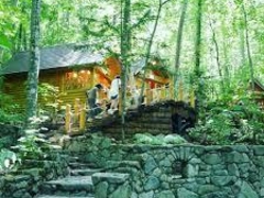 bL[̃VbsO[hujOeXvւ̓eʐ^1