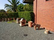 korikorȉsZ^[i͂ɂفj̓eʐ^2