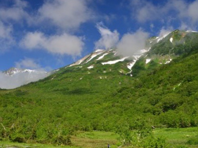 �L��_�̒r���R��