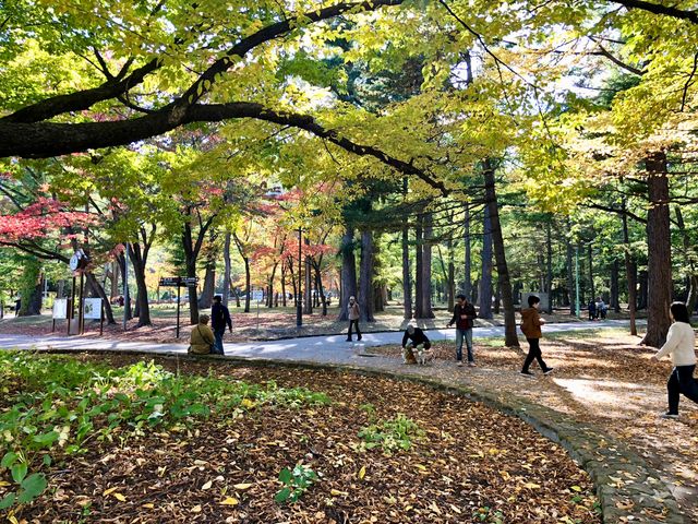 �g�t�̗l�q_�~�R����