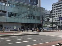 cinnamoñoX^Vhւ̓eʐ^1