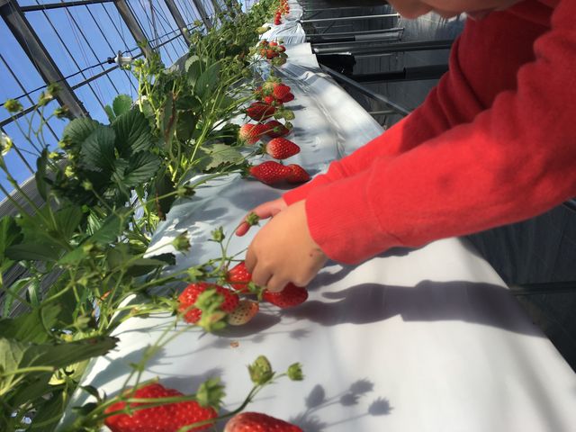 ���������_�܌��ʎ���