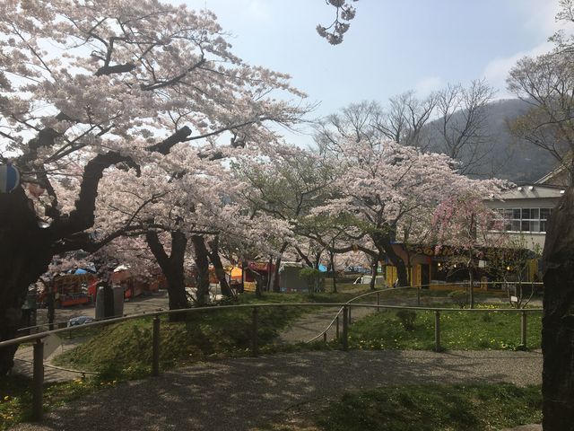 �����������L��߂��̍�(���ӂɉ��䂪�P�O��������A�������̂�)_���ٌ���