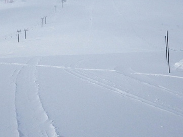 �l�����Ȃ����K�ł����B_�j�Z�RHANAZONO���]�[�g