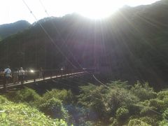 50̃Xm[{[h񂳂̋S{|݋ւ̓eʐ^1