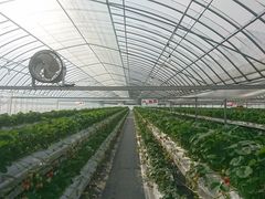 ܂[̑Jt@[ւ̓eʐ^1