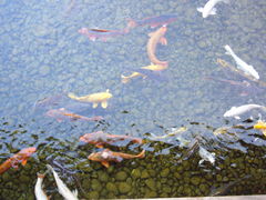 �܂�܂���̗F��������ւ̓��e�ʐ^1