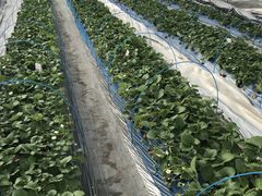 nag䕉߃nEXւ̓eʐ^1