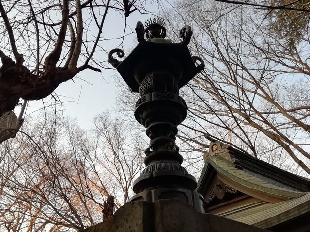 �]�ˎ��ォ�炠������̏�铔_����_��