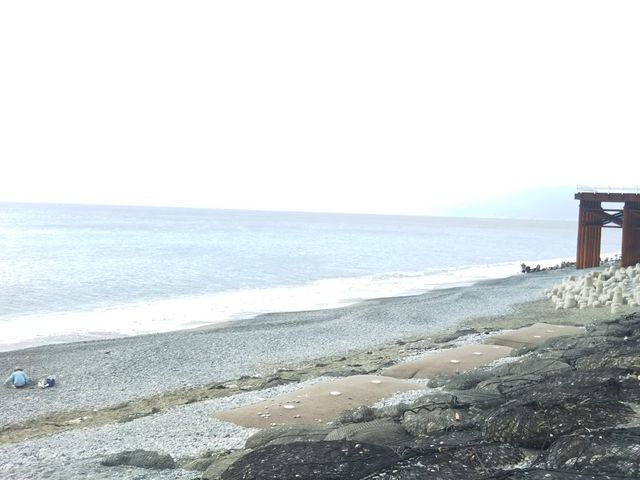 �e�j�X�R�[�g�𔲂�����̊C_���v�����X�z�e��