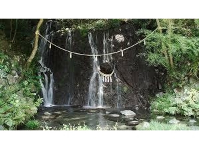 �V����_�ʗ��̑�