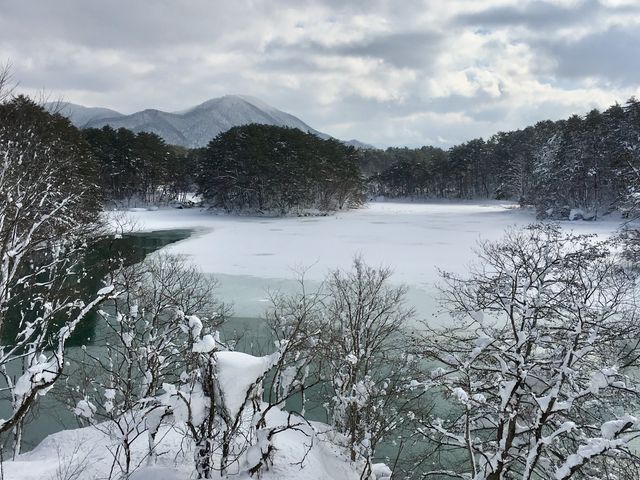 �������_���֒�r�W�^�[�Z���^�[