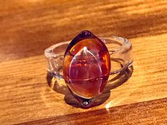 �Ԃ񂿂�񂳂�̃K���X�X�^�W�I�@�u���G�ւ̓��e�ʐ^1