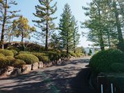 ̂̃[hJg[StNu̓eʐ^1