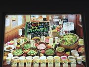 Mreẻ؉rbtFJJpbgX̓eʐ^1