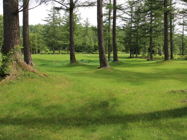 �т̒�_�r���P�̐X�p�[�N�S���t��