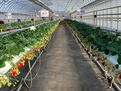 Ƃ݂炳̊ό_Ct@[ւ̓eʐ^1