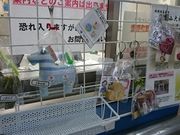 񂿂񂳂̍tό̓eʐ^1