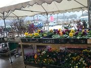 ���񂿂�񂳂�̓��̉w ���t�@���Y�������@�킬���̗��̓��e�ʐ^1