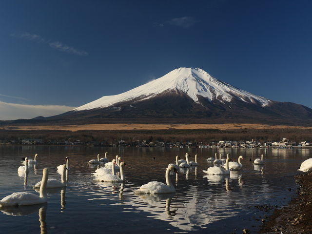 �����ƕx�m_�R����