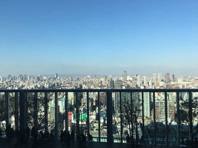 ���������ł��B_���ׂ̃n���J�X