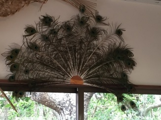 ݂񂳂̍rW^[Z^[̓eʐ^1