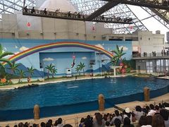 �݂��񂳂�̉��l�E���i���V�[�p���_�C�X�@�A�N�A���]�[�c�ւ̓��e�ʐ^1