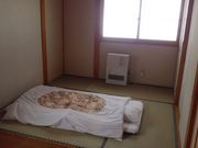 VEXDASHR~Q̏k牷̓eʐ^1