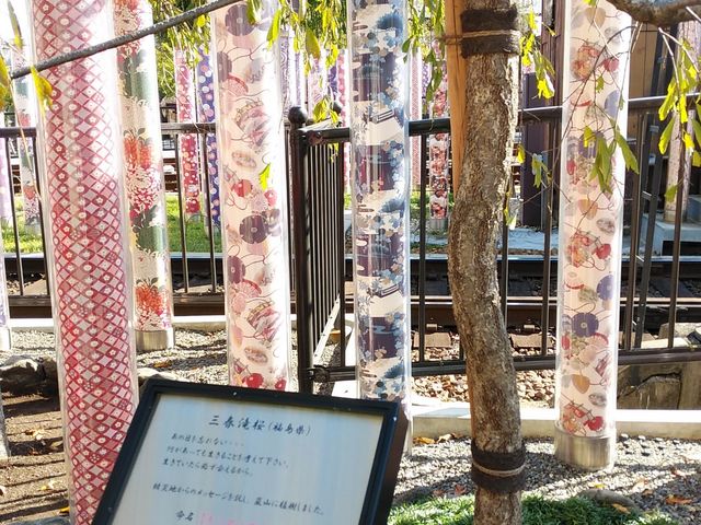 �O�t��������A����Ă܂�_�L���m�t�H���X�g