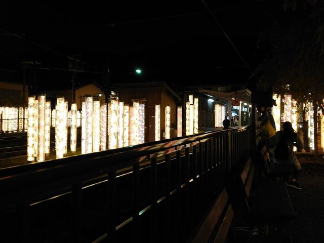 ������ꂢ�ł�_�L���m�t�H���X�g