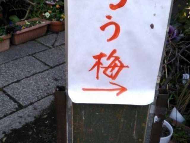 �u�낤�~�v���ē�����Ă��܂��B_��{�_��