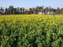 �܂�܂���̕��ӂ��̗��ւ̓��e�ʐ^1