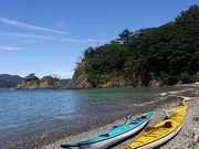 Ђ̏oi{錧쒬j̓eʐ^1