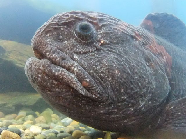 ���O�Y�ꂽ��̋�_���R������