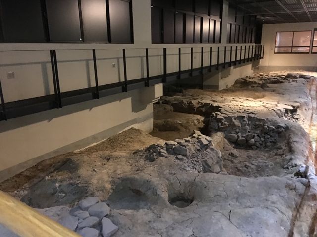 �A_�T���g�E�h�~���S����Վ�����