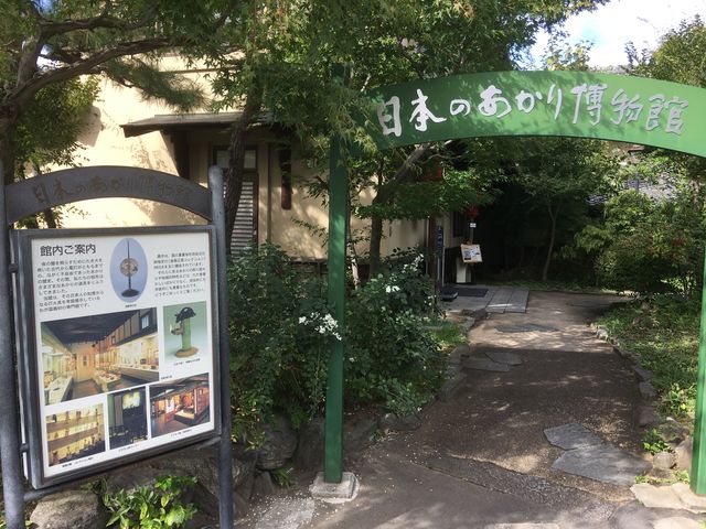 �A_���{�̂����蔎����