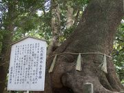 Yanwenli̒卑̋{Zg_ЎБp̓eʐ^1