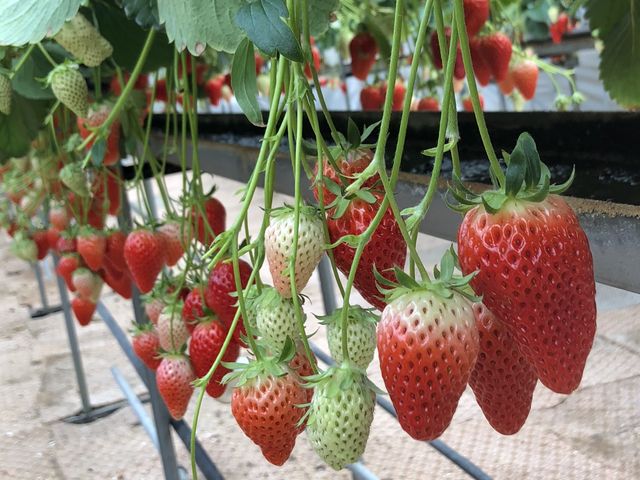 ������������ �e�N�m��_������������