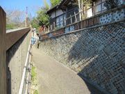 ߋT|~̗q_̏aM[̓eʐ^1