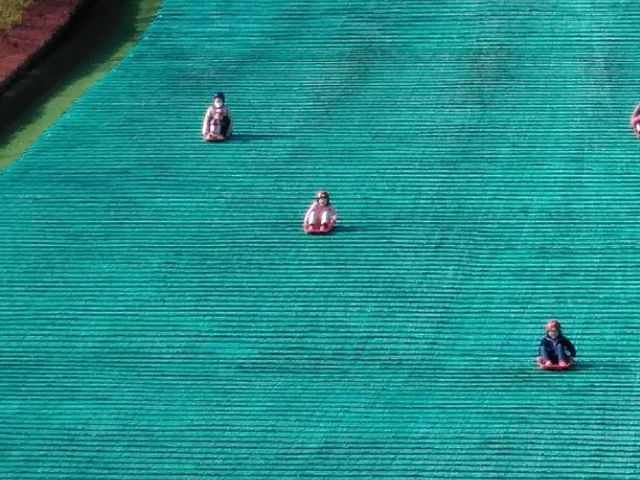 �s���l�G�̐X