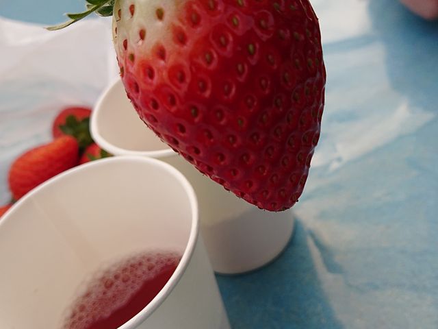 �T�[�r�X�̂������W���[�X�Ƃ�����_�₢�����R��������