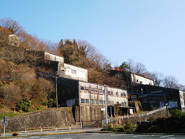 �Ζʂɂ���Ȍ������@�֌W�Ȃ��̂��ȁH_�n�ꔎ���ّ␶���R